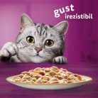 Whiskas Tasty Mix Creamy Creations hrană umedă pentru pisici adulte 12 x 85 g