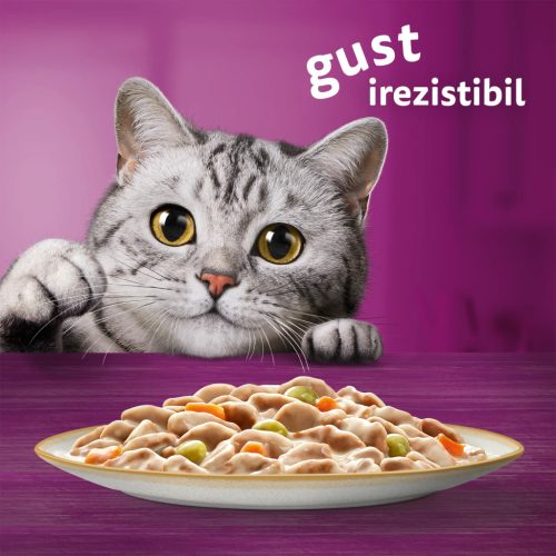 Whiskas Tasty Mix Creamy Creations hrană umedă pentru pisici adulte 12 x 85 g