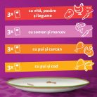 Whiskas Tasty Mix Chef's Choice hrană umedă pentru pisici adulte 12 x 85 g