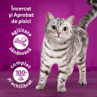 Whiskas Tasty Mix Chef's Choice hrană umedă pentru pisici adulte 12 x 85 g