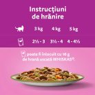 Whiskas Tasty Mix Chef's Choice hrană umedă pentru pisici adulte 12 x 85 g