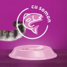 Whiskas hrană uscată cu somon pentru pisici adulte 1,4 kg