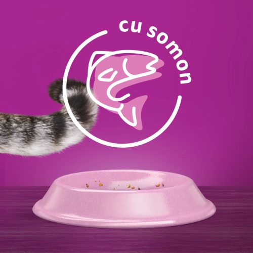 Whiskas hrană uscată cu somon pentru pisici adulte 1,4 kg