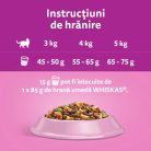 Whiskas hrană uscată cu somon pentru pisici adulte 1,4 kg