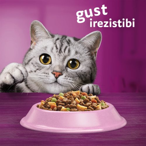 Whiskas Sterile hrană uscată cu somon pentru pisici adulte 1,4 kg