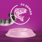 Whiskas Sterile hrană uscată cu somon pentru pisici adulte 1,4 kg
