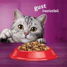 Whiskas hrană uscată cu vită pentru pisici adulte 3,8 kg