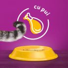 Whiskas Sterile hrană uscată cu pui pentru pisici adulte 800 g