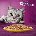 Whiskas hrană umedă pentru pisici adulte, cu pui în aspic 85 g