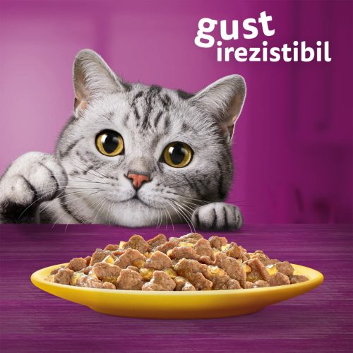 Whiskas hrană umedă pentru pisici adulte, cu pui în aspic 85 g