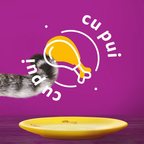 Whiskas hrană umedă pentru pisici adulte, cu pui în aspic 85 g