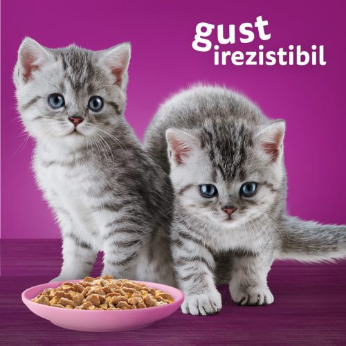 Whiskas Junior hrană umedă pentru pisici junioare, cu pui în aspic 85 g