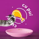 Whiskas Junior hrană umedă pentru pisici junioare, cu pui în aspic 85 g