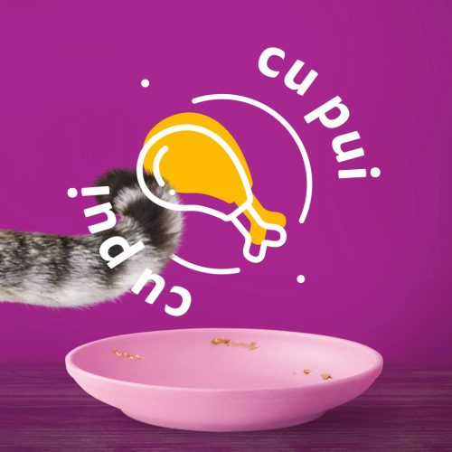 Whiskas Junior hrană umedă pentru pisici junioare, cu pui în aspic 85 g