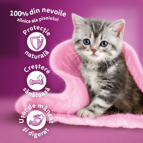 Whiskas Junior hrană umedă pentru pisici junioare, cu pui în aspic 85 g