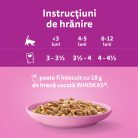 Whiskas Junior hrană umedă pentru pisici junioare, cu pui în aspic 85 g