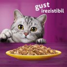 Whiskas hrană umedă pentru pisici adulte cu carne de pasăre în aspic 12 x 85 g