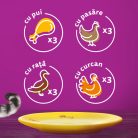 Whiskas hrană umedă pentru pisici adulte cu carne de pasăre în aspic 12 x 85 g