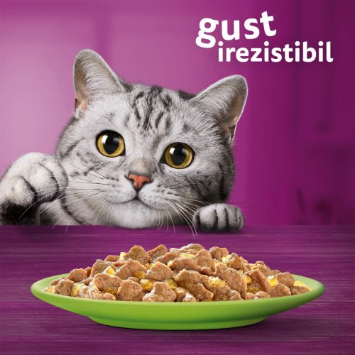 Whiskas hrană umedă pentru pisici adulte, selecții de carne în aspic 12 x 85 g