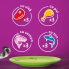 Whiskas hrană umedă pentru pisici adulte, selecții de carne în aspic 12 x 85 g