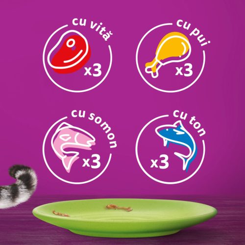 Whiskas hrană umedă pentru pisici adulte, selecții de carne în aspic 12 x 85 g