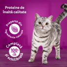 Whiskas Pure Delight hrană umedă pentru pisici adulte, selecții de carne în aspic 12 x 85 g