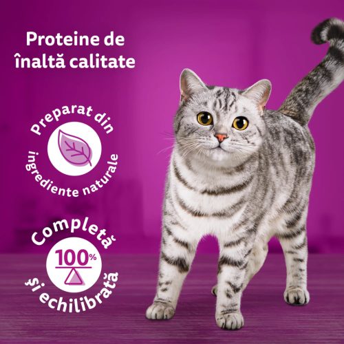 Whiskas Pure Delight hrană umedă pentru pisici adulte, selecții de carne în aspic 12 x 85 g