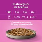 Whiskas Pure Delight hrană umedă pentru pisici adulte, selecții de carne în aspic 12 x 85 g