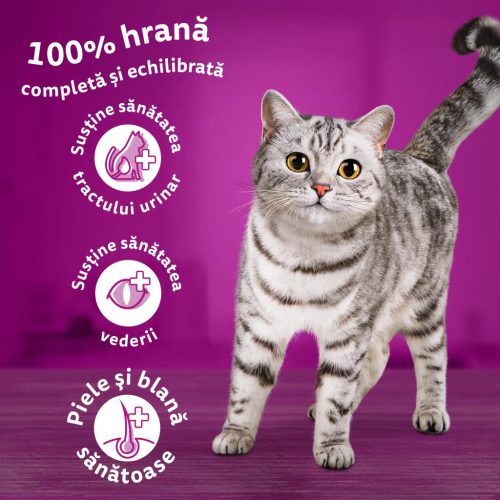 Whiskas Sterile hrană uscată cu pui pentru pisici adulte 1,4 kg