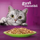 Whiskas hrană umedă pentru pisici adulte, selecții de carne în aspic 40 x 85 g