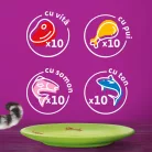 Whiskas hrană umedă pentru pisici adulte, selecții de carne în aspic 40 x 85 g