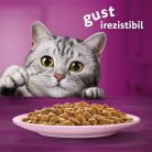 Whiskas hrană umedă pentru pisici adulte, cu somon în sos 85 g