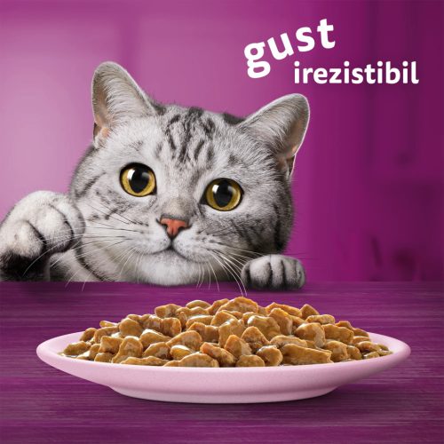 Whiskas hrană umedă pentru pisici adulte, cu somon în sos 85 g