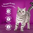 Whiskas hrană umedă pentru pisici adulte, cu somon în sos 85 g
