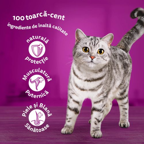 Whiskas hrană umedă pentru pisici adulte, cu somon în sos 85 g