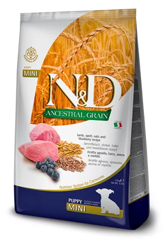 N&D Ancestral Grain Hrană uscată pentru câini junior de talie mică, cu miel 800 g