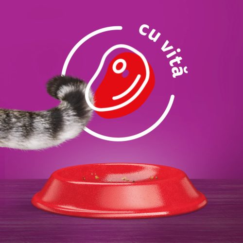 Whiskas Hrană uscată pentru pisici adulte cu vită 300 g