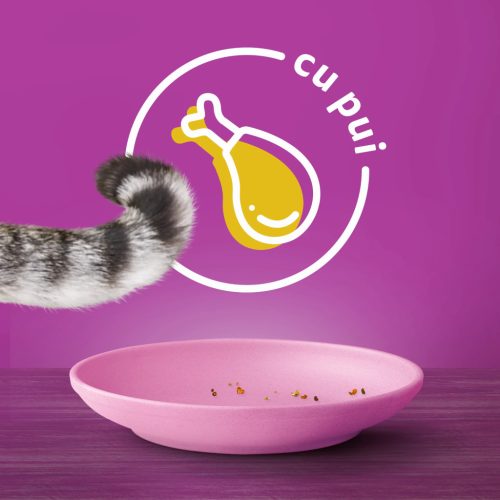 Whiskas Junior Hrană uscată pentru pisici cu pui 300 g