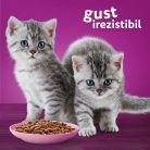 Whiskas Junior hrană umedă pentru pisici junioare, selecții clasice în sos de carne 4 x 85 g