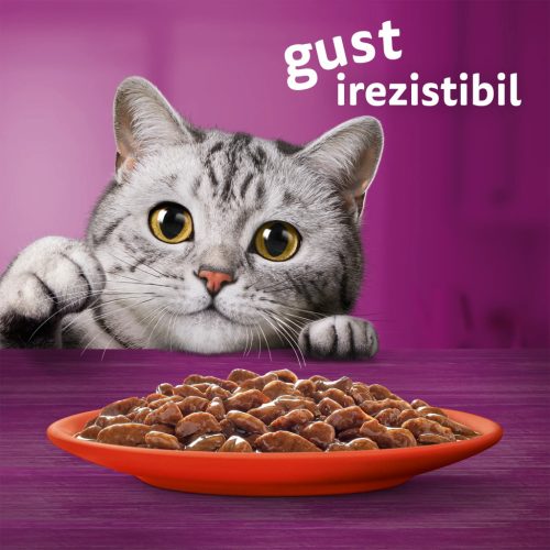 Whiskas hrană umedă pentru pisici adulte, selecții clasice în sos de carne 4 x 85 g