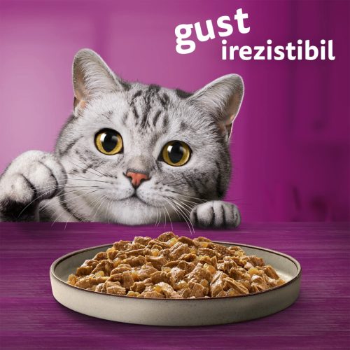 Whiskas Pure Delight hrană umedă pentru pisici adulte, selecții clasice în sos de carne 4 x 85 g