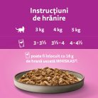 Whiskas Pure Delight hrană umedă pentru pisici adulte, selecții clasice în sos de carne 4 x 85 g