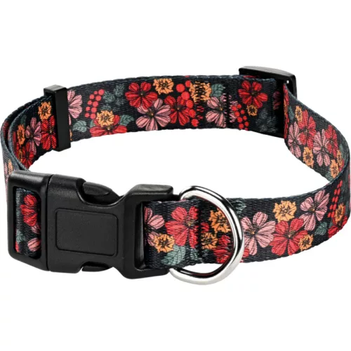 Fit+Fun Set zgardă + lesă pentru câini S 2 m