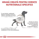 Royal Canin Veterinary Gastrointestinal Low Fat Hrană umedă pentru câini adulţi 420 g