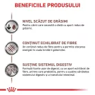 Royal Canin Veterinary Gastrointestinal Low Fat Hrană umedă pentru câini adulţi 420 g