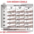 Royal Canin Veterinary Gastrointestinal Low Fat Hrană umedă pentru câini adulţi 420 g
