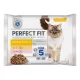 Perfect Fit hrană umedă cu pui și somon în sos pentru pisici sensibile adulte 4 x 85 g