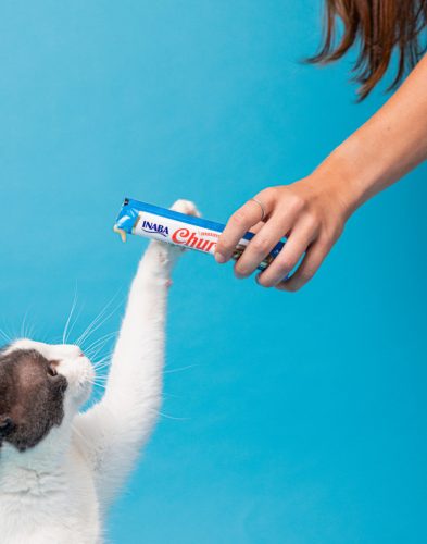 Churu Hairball Control Recompensă pentru pisici cu ton 4x14 g