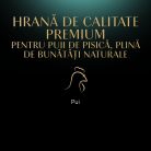 Sheba Hrană umedă pentru pisici junioare, cu pui în sos 85 g