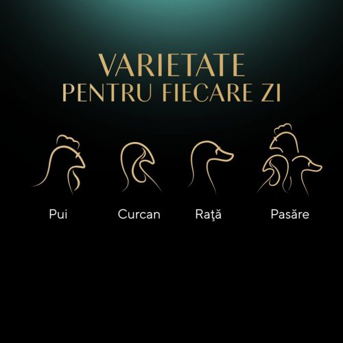 Sheba Nature's Collection Hrană umedă pentru pisici adulte, cu carne de pasăre în aspic 4 x 85 g